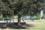 Claggett Creek Park Play Structure